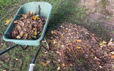 Eikels harken & terreinherstel – goed voor dier en terrein!