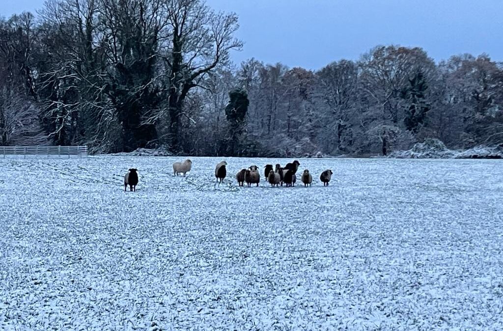 kerstborrel buiten in Twente