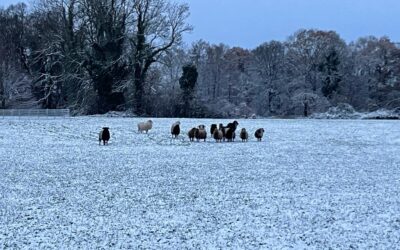 Een kerstborrel die blijft hangen