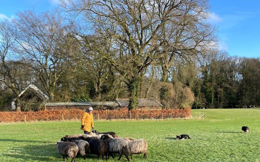 Winteruitje voor teams Twente – Boekelo Outdoor