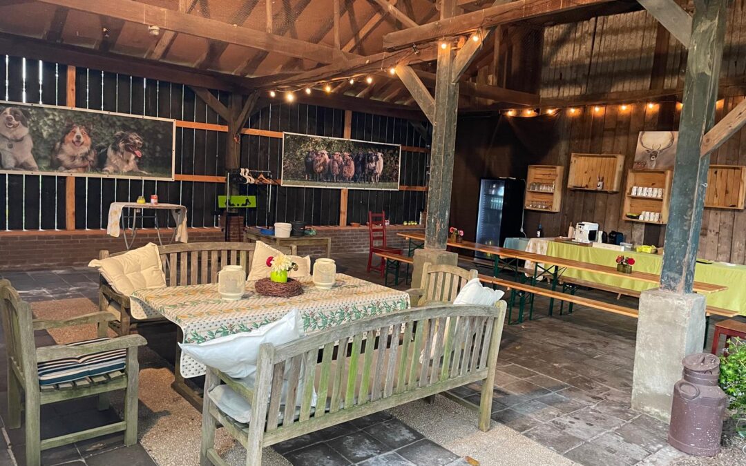 Veiligheid, Verantwoordelijkheid & Vertrouwen bij Teamcoaching met Schapendrijven