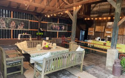 Veiligheid, Verantwoordelijkheid & Vertrouwen bij Teamcoaching met Schapendrijven