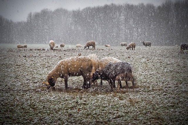 Winterklaar Terrein in Twente